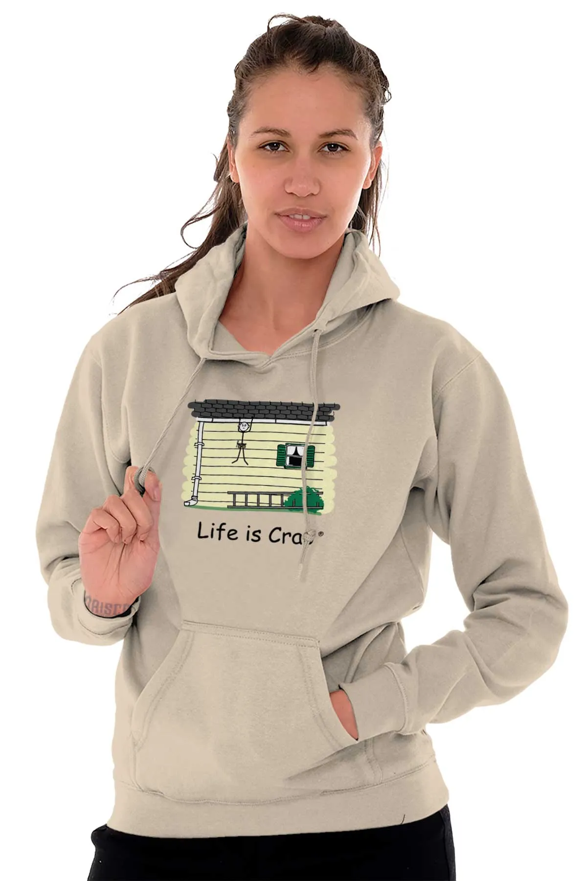 Lost Ladder Hoodie