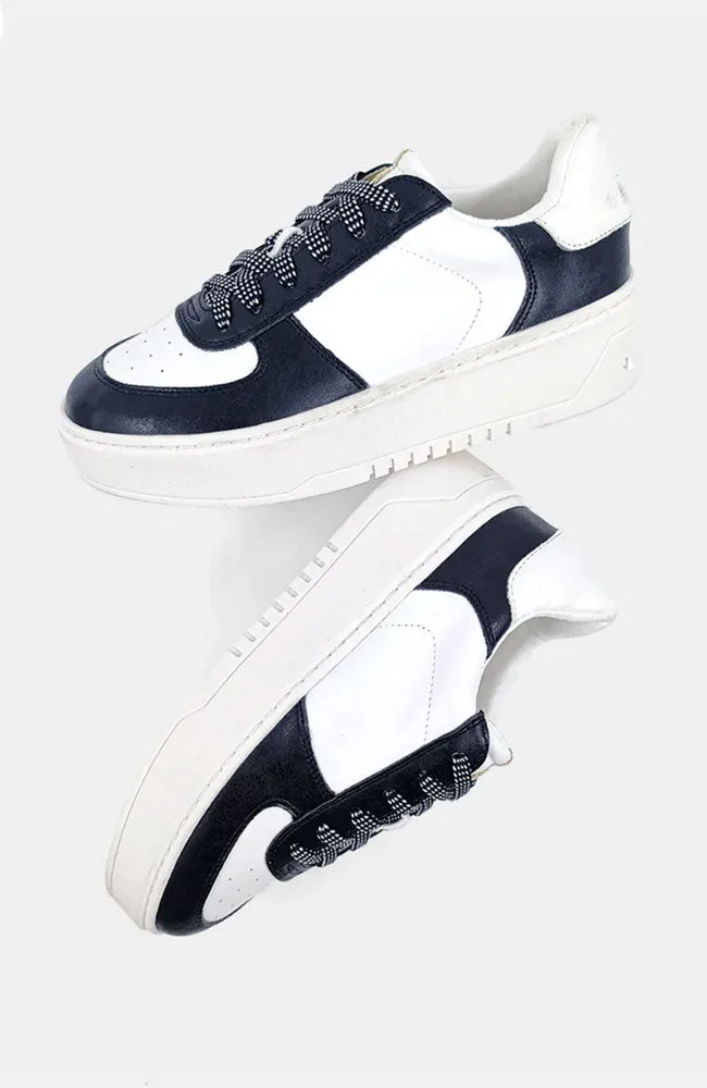 Shirley Sneaker in Black